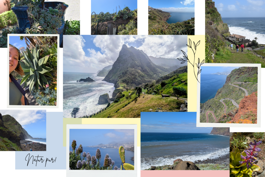 Natur auf der Insel